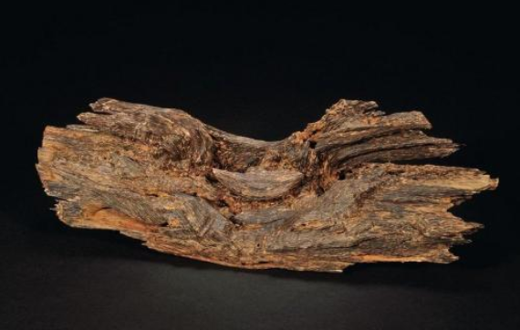 tai o: the efficacy and functions of agarwood essential oil, sandalwood essential oil and thuja essential oil(pic3) tai o: the efficacy and functions of agarwood essential oil, sandalwood essential oil and thuja essential oil(pic3)