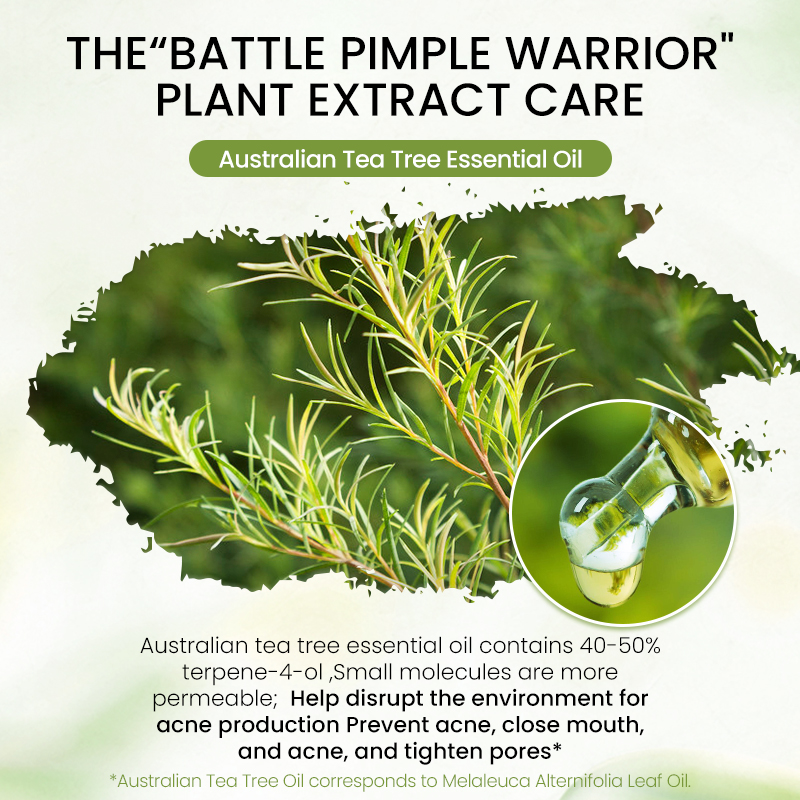 Icesea Australian Tea Tree Acne Solution Set - Daily Oil-Reducing Skincare Kit for Teen & Adult Acne, Clear Skin Essentials