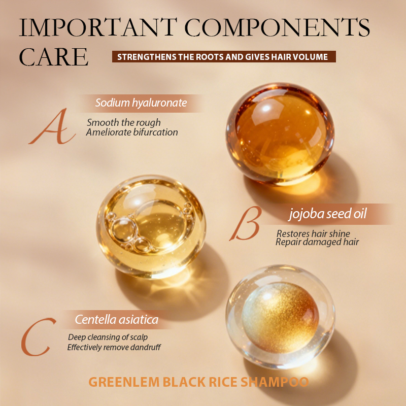 Black Rice Amino Acid Shampoo Hyaluronic Acid Jojoba Oil Centella Asiatica-Thickening Moisturizing for All Hair Types