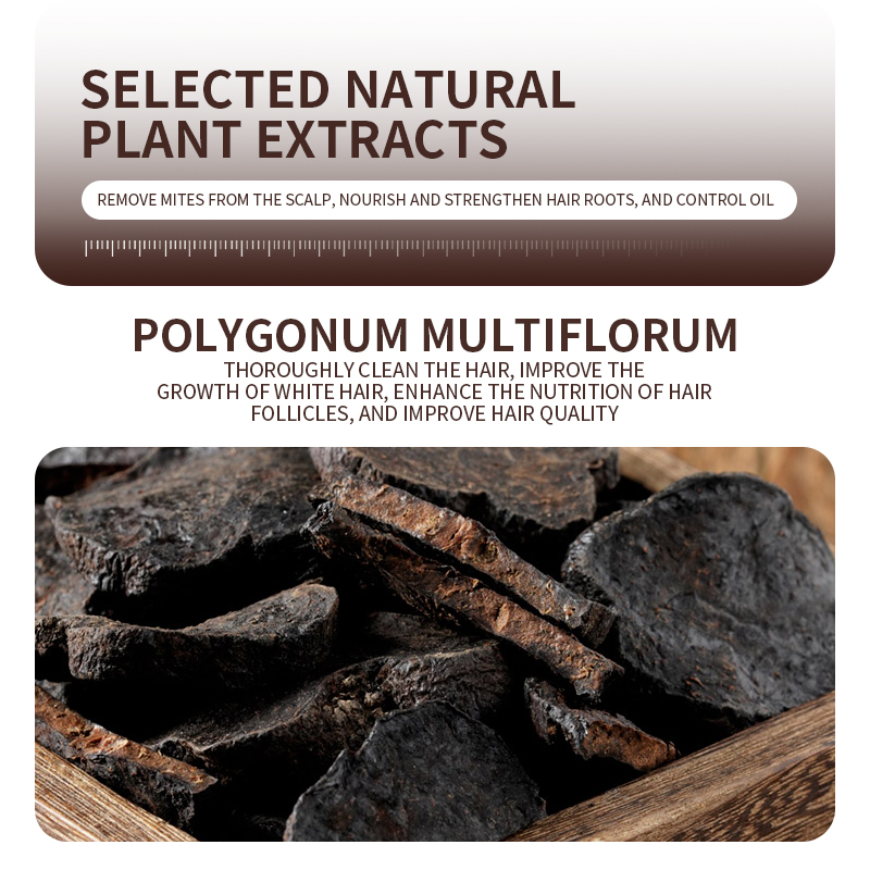 GreenLem POLYGONUM MULTIFLORUM Natural Handmade Herbal Charcoal Kojic Acid Turmeric Black Soap Bar Solid