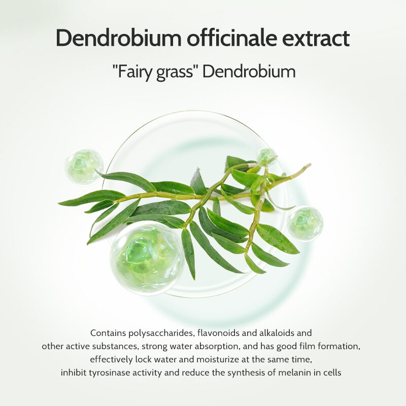 Plant Grow Dendrobium Officinale Handmade Soap for refreshing care(pic4) Plant Grow Dendrobium Officinale Handmade Soap for refreshing care(pic4)