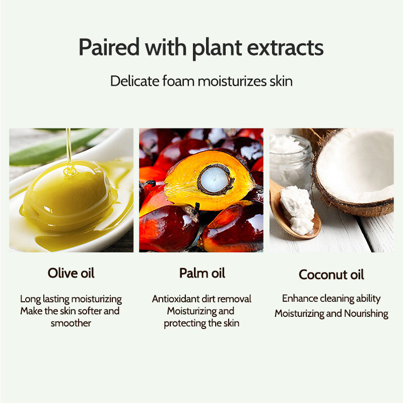 Plant Grow Dendrobium Officinale Handmade Soap for refreshing care(pic5) Plant Grow Dendrobium Officinale Handmade Soap for refreshing care(pic5)