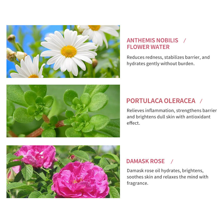 GreenLem Beauty Rose Facial Masque Peel Sheet Lightening Facial for Combination Skin Moisturizing Face(pic4)