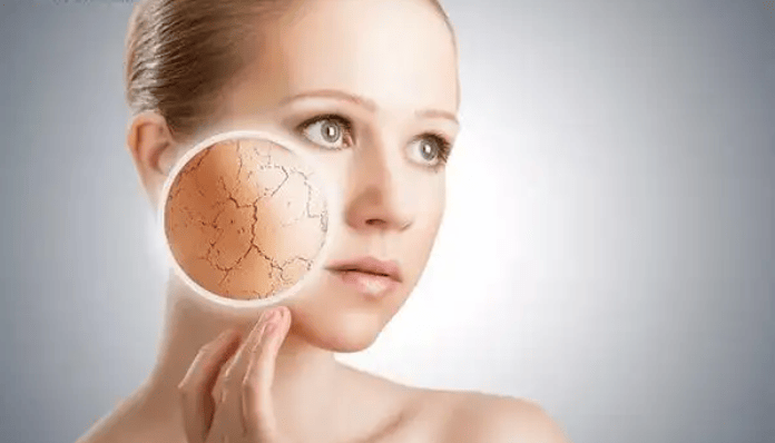 Daao oem&odm Cosmetics Manufacturers