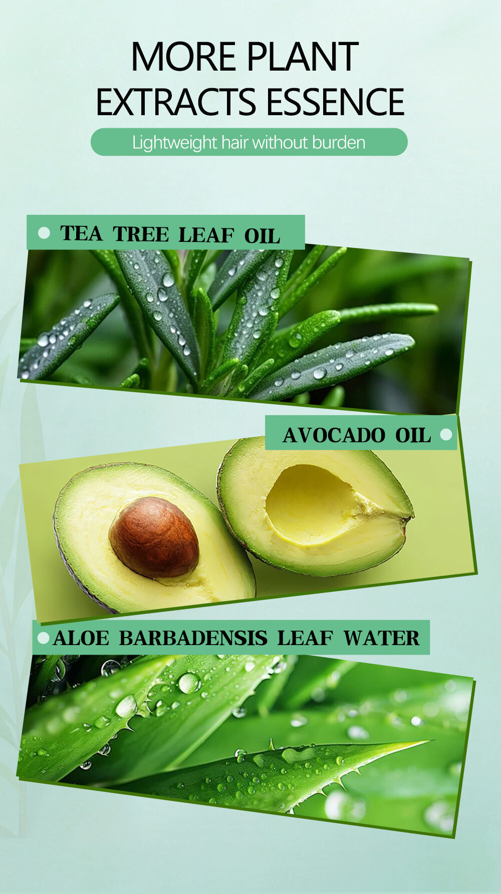 Icesea Tea Tree Oil Control Conditioning Hair Treatment, Repairing Damaged Hair Quality(pic3)