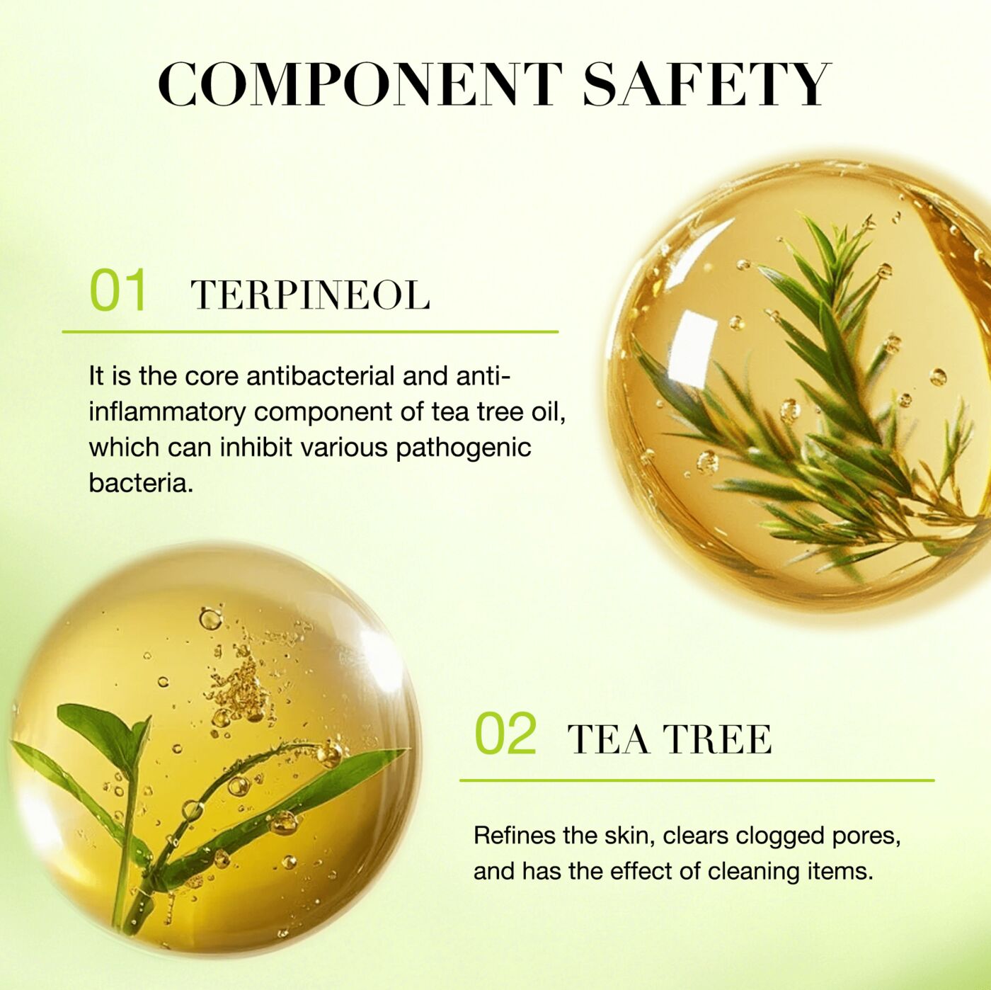 Icesea Pure Essential Oil Tea Tree 100% Pure Antibacterial OEM/ODM(pic4)